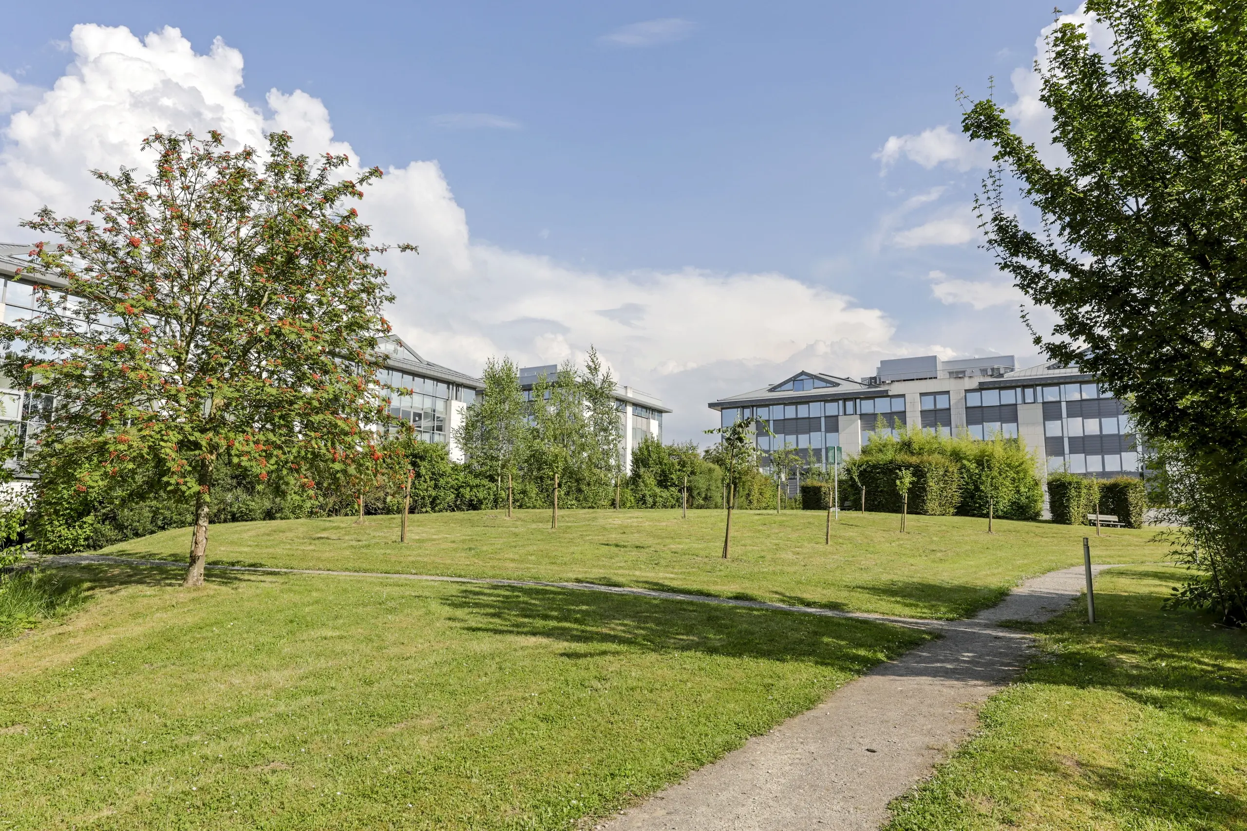 Image de fond pour Axis Parc